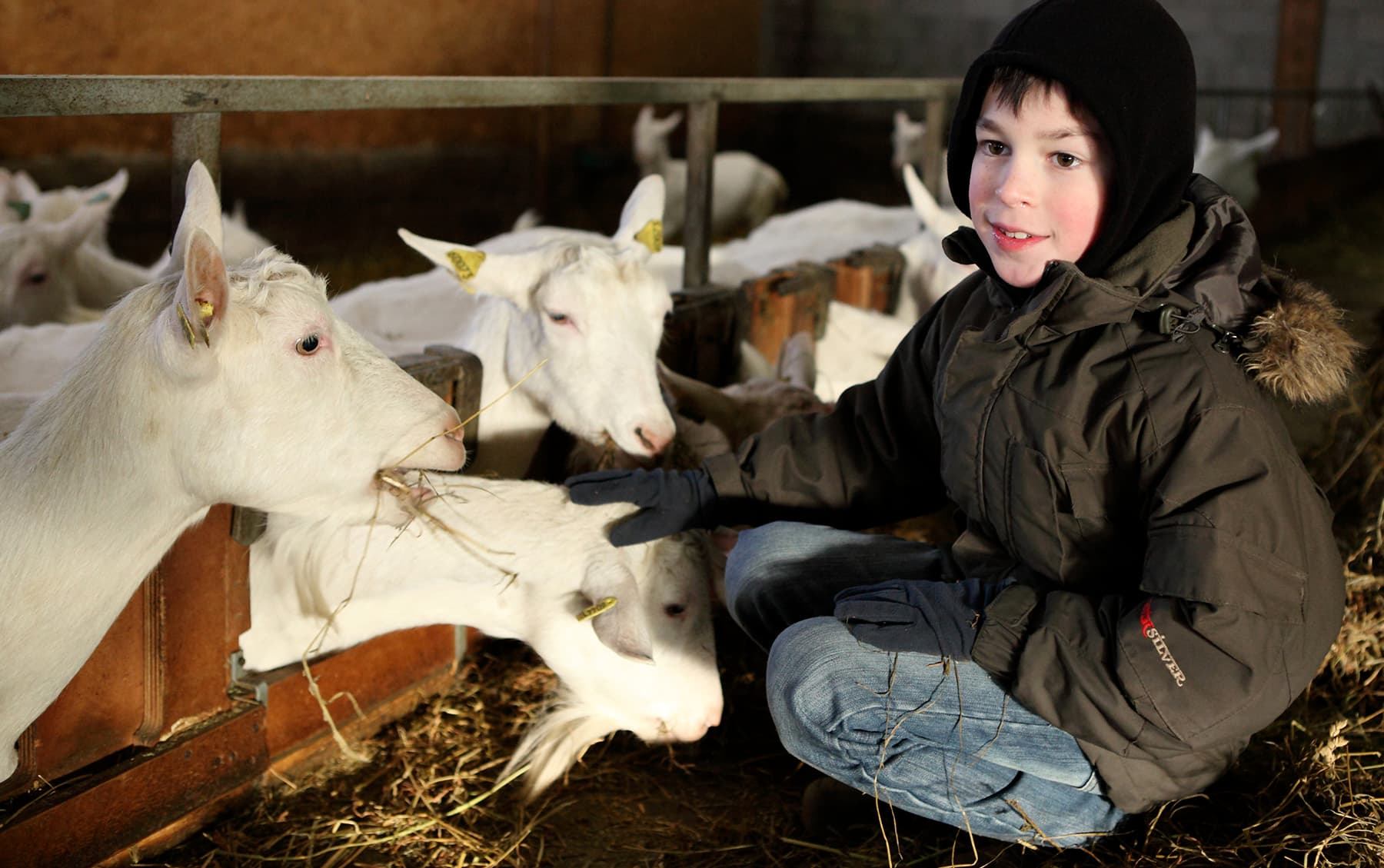 Les Jours Heureux - Camping Le Rural